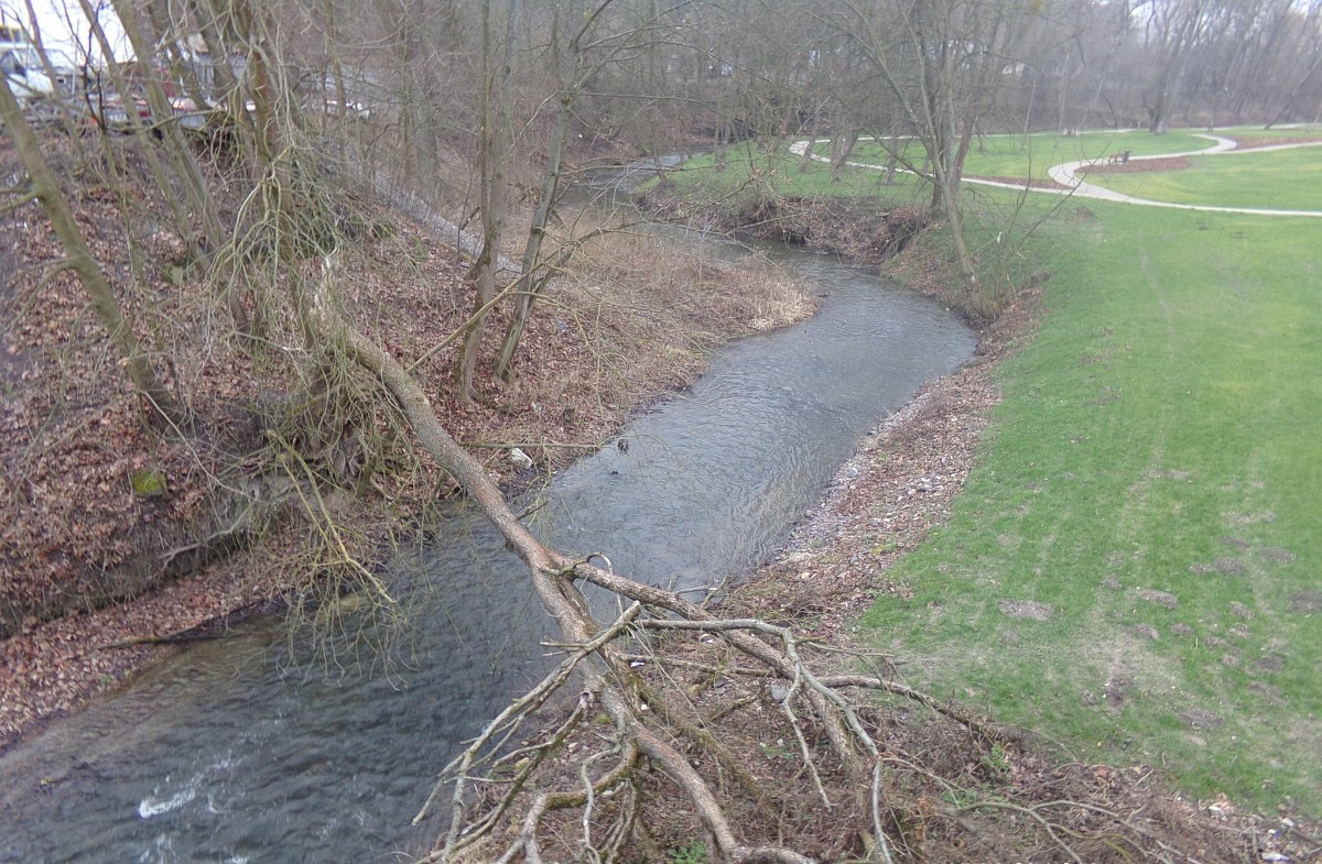 Rzeka wśród zieleni